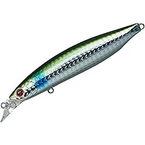 ダイワ ショアラインシャイナーZ バーティス 98S 6点 61MT9S5T+gL._AC_UL210_SR210,